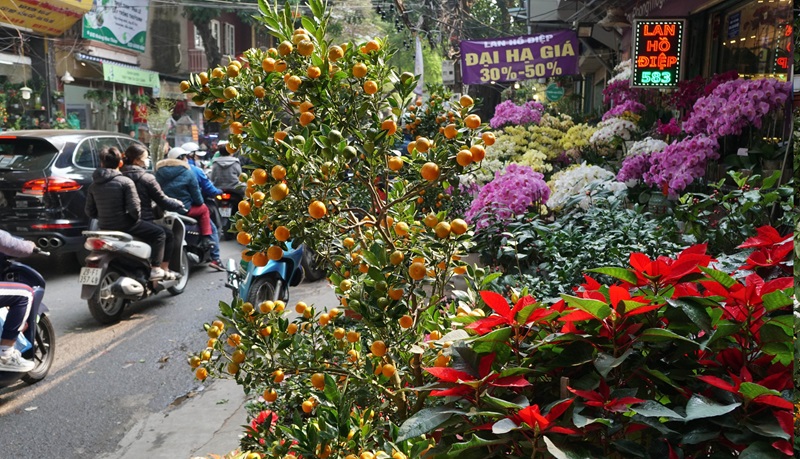 Phiên chợ tết ở Hà Nội. Ở Hà Nội có chợ tết nào?