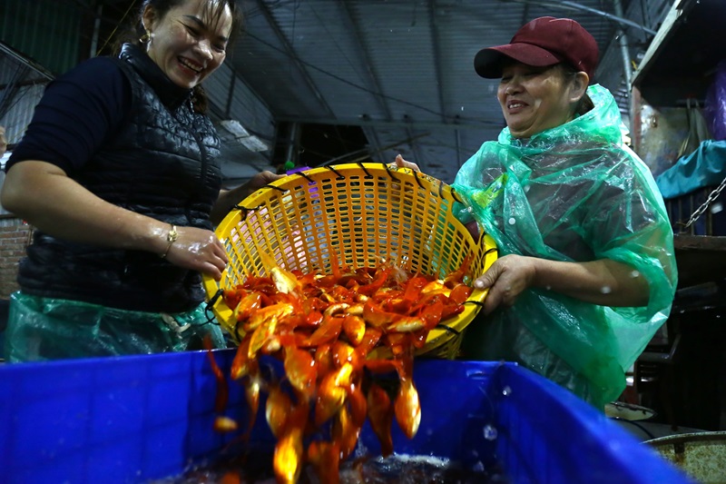 Phiên chợ tết ở Hà Nội. Chợ phiên ngày tết Hà Nội