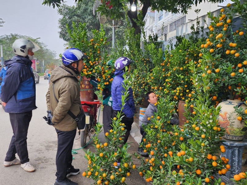 Phiên chợ tết ở Hà Nội. Những chợ phiên truyền thống Hà Nội