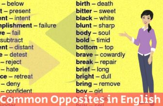 [🆕🇻🇳] English Kids 📚 Top1Learn 📕 Common Opposites in English! :)
, shares-0✔️ , likes-0❤️️ , date-2025-02-07 05:00:26🇻🇳🇻🇳🇻🇳📰🆕