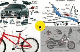 [🆕🇻🇳] English Kids 📚 Top1Learn 📕 Common Vehicles & Modes of Transportation Vocabulary! :)
, shares-0✔️ , likes-0❤️️ , date-2025-02-01 05:00:23🇻🇳🇻🇳🇻🇳📰🆕