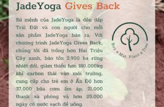[🆕🇻🇳] YogaVietnam.vn 🧘 Top1Yoga 🤸🏻‍♀️ Thảm @jadeyogamats Harmony 5mm là chiếc thảm best seller và đa sắc màu nhất của thương hiệu Yoga của Mỹ JadeYoga.Trong hơn 10 phiên bản màu, JadeYoga đã , shares-0✔️ , likes-2❤️️ , date-2025-02-11 13:30:02🇻🇳🇻🇳🇻🇳📰🆕