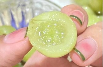 [🆕🇻🇳] Nông Sản Bảo Lâm HCM – Chợ nông sản 🍔 Top1Food  🍜 Hot Deal GIẢM NGAY #55k  trên giá gốc cho1 kg tại đây
Nho xanh Úc HÀNG BAY CUỐNG XANH LÈ TRÁI GIÒN NGỌT RÔM RỐP
Chủng nho úc ngọt giòn tươi mướt mát mà gi , shares-0✔️ , likes-3❤️️ , date-2025-01-25 16:33:16🇻🇳🇻🇳🇻🇳📰🆕