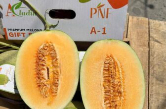 [🆕🇻🇳] TH Fruit – Chuyên Trái Cây Nhập Khẩu Cao Cấp 🍔 Top1Food  🍜 Còn đúng 10 thùng cuối.
Tết làm mấy li vào phê phê cắt trái trong tủ mát ra ăn phát. Ta nói hết lối về và lại uống tiếp.
Dưa lưới siêu ngon giòn ngọt
, shares-0✔️ , likes-6❤️️ , date-2025-01-26 03:21:01🇻🇳🇻🇳🇻🇳📰🆕