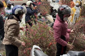 [🆕🇻🇳] Shop Kids – Shop quần áo – phụ kiện thời trang cho bé 🧑‍🧒❤️️👶⭐️ Hết nc chấm
, shares-0✔️ , likes-46❤️️ , date-2025-01-26 22:28:49🇻🇳🇻🇳🇻🇳📰🆕