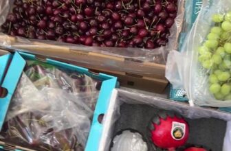 [🆕🇻🇳] Trái Cây Nhập Khẩu Tuy Hoà-Phú An Food 🍔 Top1Food  🍜  , shares-0✔️ , likes-2❤️️ , date-2025-01-26 15:45:52🇻🇳🇻🇳🇻🇳📰🆕