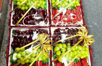 [🆕🇻🇳] Trái Cây Nhập Khẩu Tuy Hoà-Phú An Food 🍔 Top1Food  🍜 Siêu phẩm cho đầu năm mới rực rỡ nhé cả nhà ơi . Dâu Hana mộc châu size to bự cá siêu ưu đãi cho cả nhà chỉ #129k/hộp 500g (kèm muối xí muội). Mai đáp bay  , shares-0✔️ , likes-2❤️️ , date-2025-02-05 17:55:53🇻🇳🇻🇳🇻🇳📰🆕