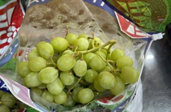 [🆕🇻🇳] Chio shop – Cửa hàng rau quả 🍔 Top1Food  🍜 Nho xanh Sweet Globe Nam Phi siêu ngon, giòn rụm, ngọt lịm300k/kg
Thùng 4.5kg/1.300k
, shares-0✔️ , likes-2❤️️ , date-2025-01-27 19:52:28🇻🇳🇻🇳🇻🇳📰🆕