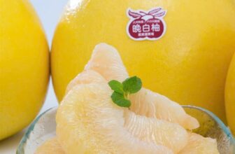 [🆕🇻🇳] Lefarms – Cửa hàng tiện lợi 🍔 Top1Food  🍜 THỰC PHẨM NGÀY TẾT SIÊU HOT TẠI LEFARMS Ạ
BƯỞI PHA LÊ NHẬT
THANH LONG TỔ YẾN ECUADOR
MỰC TẨM WASABI
SET THỊT NGUỘI NHẬT
TÁO SỮA ĐÀI LOAN
MẬN VIP ÚC
, shares-0✔️ , likes-15❤️️ , date-2025-01-28 17:16:18🇻🇳🇻🇳🇻🇳📰🆕