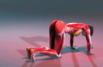 [🆕🇻🇳] Huỳnh Tha Yoga – Yoga cho người mới bắt đầu, trung cấp, nâng cao 🧘 Top1Yoga 🤸🏻‍♀️ Độ mông trái đào ngay tại nhà
#huynhthayoga #yogaonline
, shares-0✔️ , likes-1❤️️ , date-2025-01-31 19:11:02🇻🇳🇻🇳🇻🇳📰🆕