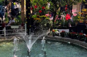 [☕️🇻🇳] Cà phê Ngọc Hà- Cafe sân vườn 🥤 Top1Coffee ☕️ Video liên quan
, shares-0✔️ , likes-4❤️️ , date-2025-01-30 16:20:24🇻🇳🇻🇳🇻🇳📰🆕