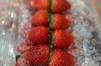 [🆕🇻🇳] Hoa Quả 4Mùa – Cửa hàng rau quả 🍔 Top1Food  🍜 Dâu hana mộc châu hàng đi bay mỗi ngày tại Sài GònCứ dâu ta mà ăn các bác ạ vừa rẻ vừa ngon ngọt thơm
Đầu Xuân năm mới ăn dâu cho đỏ rực rỡ cả năm các  , shares-0✔️ , likes-0❤️️ , date-2025-02-02 00:07:15🇻🇳🇻🇳🇻🇳📰🆕