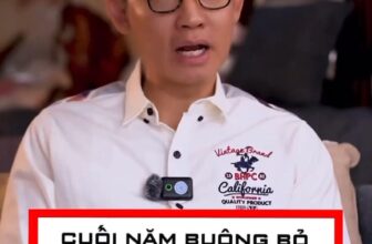 [🆕🇻🇳] 55kg.Linh – Quần áo ( Thương hiệu ) 👕 Top1Fashion 👗   , shares-0✔️ , likes-1❤️️ , date-2025-01-28 22:12:53🇻🇳🇻🇳🇻🇳📰🆕