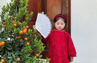 [🆕🇻🇳]  Cocandy – Thời trang trẻ em thiết kế COCAND 😎❤️️⭐️ Ỏ, ngoan xinh iu của dì đâu rồi
, shares-0✔️ , likes-6❤️️ , date-2025-01-31 02:37:04🇻🇳🇻🇳🇻🇳📰🆕