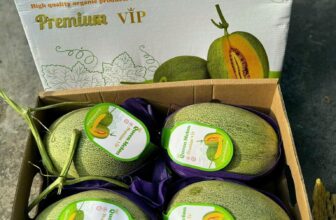 [🆕🇻🇳] F5 Fruit Shop Hồ Chí Minh-hệ thống bán lẻ Trái cây Nhập khẩu cao cấp 🍔 Top1Food  🍜 DƯA LƯỚI MẬT QUEEN MELON
120.000/ trái hơn 1.6kg
Dưa ăn ngon hơn khi để lạnh
DƯA LƯỚI ĐÀI LOAN – HOT NHẤT XỨ ĐÀI
ĐẬM VỊ NGỌT, ĂN SIÊU NGON, SIÊU GIÒ , shares-1✔️ , likes-0❤️️ , date-2025-02-05 15:46:58🇻🇳🇻🇳🇻🇳📰🆕