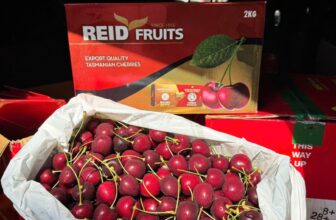 [🆕🇻🇳] Hoa Quả 4Mùa – Cửa hàng rau quả 🍔 Top1Food  🍜 Em về siêu phẩm #cherryÚc hàng bay cuống cành tươi xanhMã này em bao đậm vị tươi rói giòn rụm luôn , có túi xách cực xịn#950k/ xách 2kg# , shares-0✔️ , likes-0❤️️ , date-2025-01-31 20:08:10🇻🇳🇻🇳🇻🇳📰🆕