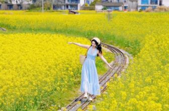 [🆕🇻🇳]  Anna kids – Chuyên cung cấp sỉ & lẻ thời trang trẻ em. Hàng xuất xịn, đẹp, độc, lạ! 🧑‍🧒❤️️👶⭐️ Cuộc sống giống như một bức tranh, và hoa là những nét màu tươi sáng tô điểm cho cuộc sống
, shares-0✔️ , likes-6❤️️ , date-2025-02-02 17:16:23🇻🇳🇻🇳🇻🇳📰🆕