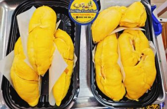 [🆕🇻🇳] Khả Hân Fresh Fruit – Sầu Riêng 6 Hữu 🍔 Top1Food  🍜 hôm nay nhà Hân có các loại sầu riêng chín ngon như sau: Musang King , 6 Hữu , Chuồng Bò
e mời khách lên đơn mua dùng hoặc biếu tặng ạ
, shares-0✔️ , likes-0❤️️ , date-2025-02-02 19:34:09🇻🇳🇻🇳🇻🇳📰🆕