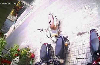 [🆕🇻🇳] Bếp của Mẹ 🍔 Top1Food  🍜  Ối giồi ôiiiii, khách khai trương nhà cô Bếp cỡ này không á, đã đẹp mà còn mạnh tay nữaaaa
Trộm vía địa chỉ mới nhà cô Bếp đã đón khách mới và nhiều khá , shares-0✔️ , likes-1❤️️ , date-2025-02-05 18:17:34🇻🇳🇻🇳🇻🇳📰🆕