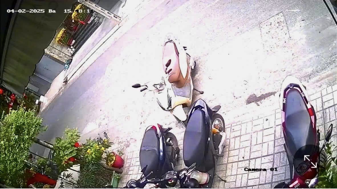 [🆕🇻🇳] Bếp của Mẹ 🍔 Top1Food  🍜  Ối giồi ôiiiii, khách khai trương nhà cô Bếp cỡ này không á, đã đẹp mà còn mạnh tay nữaaaa
Trộm vía địa chỉ mới nhà cô Bếp đã đón khách mới và nhiều khá , shares-0✔️ , likes-1❤️️ , date-2025-02-05 18:17:34🇻🇳🇻🇳🇻🇳📰🆕