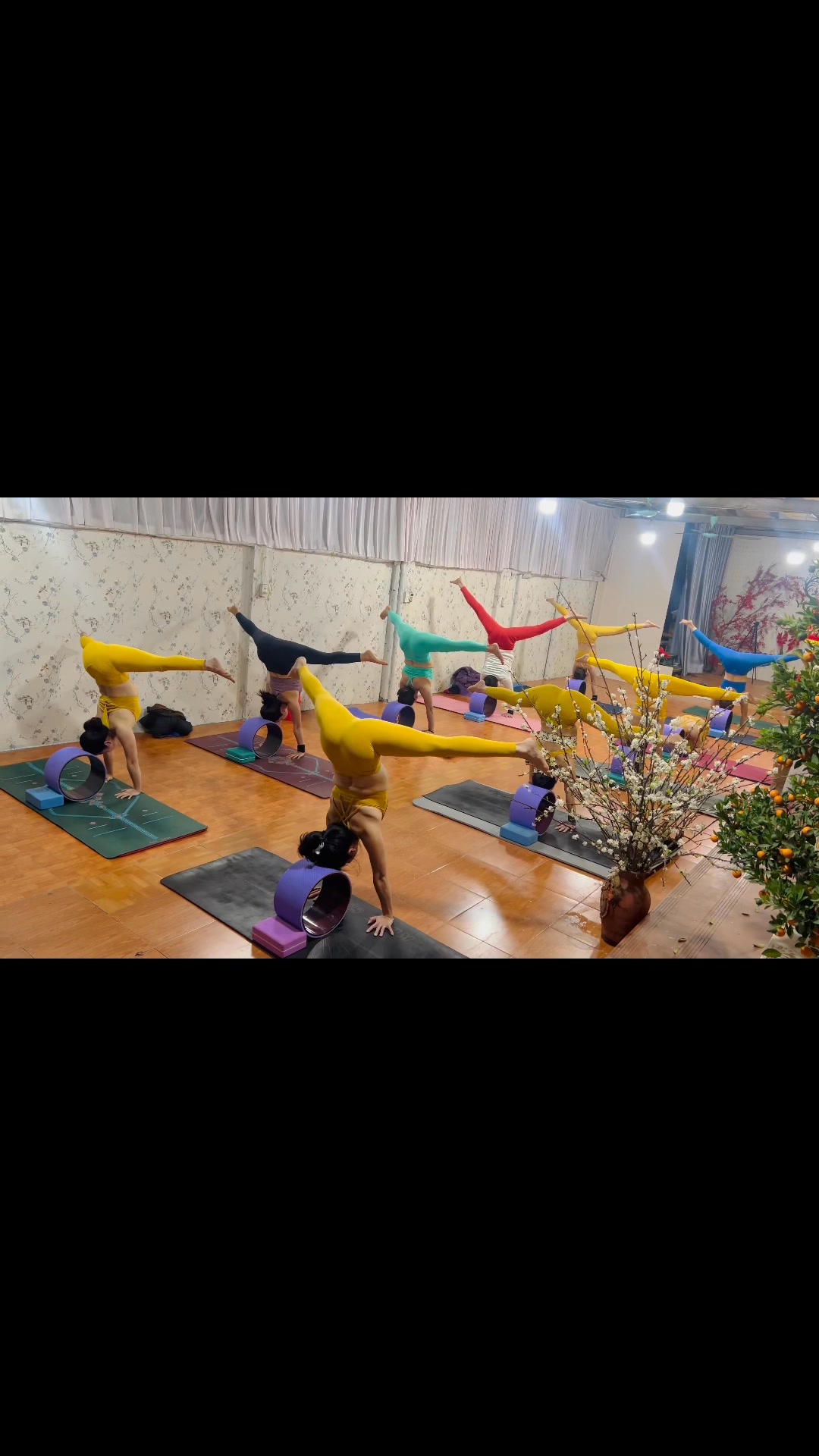 [🆕🇻🇳] Yoga Ngọc Ánh 🧘 Top1Yoga 🧘 Khai Xuân với handstand Hv team Ngọc Ánh
 , shares-0✔️ , likes-31❤️️ , date-2025-02-04 00:41:18🇻🇳🇻🇳🇻🇳📰🆕