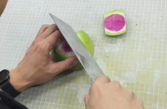 [???] Trạm Vẽ painting – Sunny art ? Top1Designs ✨  Cách cắt tỉa trang trí tạo hình hoa củ quả
, shares-0✔️ , likes-120❤️️ , date-2025-02-05 18:01:15????????