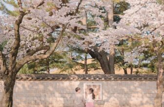 [🆕🇻🇳] Checkin và Du lịch Hàn Quốc – Korea Travel ♥️️ Top1Checkin ☑  LỄ HỘI HOA ANH ĐÀO GYEONGJU – XỨ SỞ CỔ TÍCH GIỮA ĐỜI THỰCKhông chỉ là cố đô ngàn năm mang đậm dấu ấn lịch sử, Gyeongju mỗi độ xuân về còn hóa thành một , shares-0✔️ , likes-3❤️️ , date-2025-02-07 22:00:10🇻🇳🇻🇳🇻🇳📰🆕