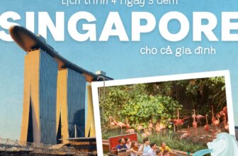[🆕🇻🇳] Traveloka Vietnam – Nền tảng du lịch hàng đầu Đông Nam Á ♥️️ Top1Checkin ☑   Cả nhà vi vu Singapore – Dễ đi, vui hết ý!Nếu đã quá quen với các địa điểm trong nước nhưng du lịch nước ngoài lại ngại visa, sao không chọn Singapore  , shares-0✔️ , likes-3❤️️ , date-2025-02-06 17:00:04🇻🇳🇻🇳🇻🇳📰🆕