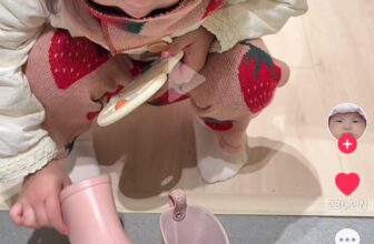 [🆕🇻🇳] Lạc BabyClothing 😎❤️️⭐️ Mẹ nào cần nhắn em nhé.
Size 14cm 15cm 16cm 17cm 18cm 19cm
, shares-0✔️ , likes-1❤️️ , date-2025-02-08 17:36:39🇻🇳🇻🇳🇻🇳📰🆕