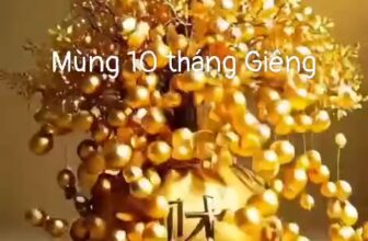 [🆕🇻🇳] Yoga Gò Vấp – Vì sức khỏe và sắc đẹp của bạn!  🧘 Top1Yoga 🤸🏻‍♀️ Mừng ngày vía Thần Tài, lì xì liền tay 100k khi đăng kí ngay hôm nay nha cả nhà thân iu ơi.
Lịch tập đa dạng 7 khung giờ trên 1 ngày.
Lớp học chỉ 8hv/1 lớ , shares-0✔️ , likes-3❤️️ , date-2025-02-08 02:34:06🇻🇳🇻🇳🇻🇳📰🆕