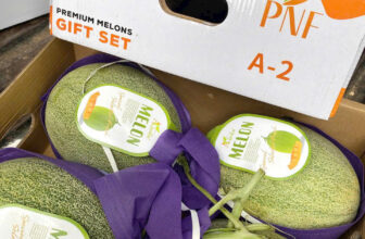 [🆕🇻🇳] TH Fruit – Chuyên Trái Cây Nhập Khẩu Cao Cấp 🍔 Top1Food  🍜  Dưa lưới Đài Loan là một trong những loại trái cây cao cấp được ưa chuộng nhờ hương vị thơm ngon, độ ngọt thanh tự nhiên và giá trị dinh dưỡng cao. Với kh , shares-0✔️ , likes-0❤️️ , date-2025-02-12 22:00:08🇻🇳🇻🇳🇻🇳📰🆕