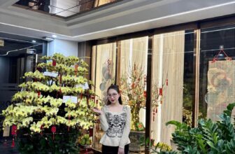 [🆕🇻🇳] Trúc Quỳnh Nguyễn – Hàng thiết kế 👕 Top1Fashion 👗  Fb ngập tràn ảnh feedback các nàng thơ của tui
, shares-0✔️ , likes-2❤️️ , date-2025-02-08 18:17:49🇻🇳🇻🇳🇻🇳📰🆕