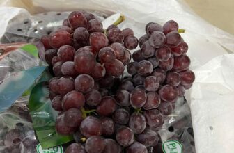 [🆕🇻🇳] TH Fruit – Chuyên Trái Cây Nhập Khẩu Cao Cấp 🍔 Top1Food  🍜  𝐍𝐇𝐎 𝐊𝐄̣𝐎 Đ𝐎̉ 𝐏𝐄𝐑𝐔 – NGỌT LỊM, GIÒN TAN, CỰC PHẨM CHO TÍN ĐỒ TRÁI CÂY NHẬP KHẨU!Bạn đã từng thử loại nho nào mà khi cắn một miếng, hương vị ngọt lịm nh , shares-0✔️ , likes-1❤️️ , date-2025-02-13 17:33:03🇻🇳🇻🇳🇻🇳📰🆕