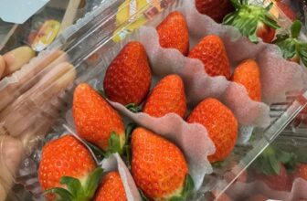 [🆕🇻🇳] TH Fruit – Chuyên Trái Cây Nhập Khẩu Cao Cấp 🍔 Top1Food  🍜  DÂU HÀN QUỐC – TRÁI TO, THƠM NGỌT, SIÊU NGON
Trái to, tươi rói, ăn có vị ngọt thơm, tuyệt phẩm xứ sở Kim Chi
Dâu Hàn vào chính vụ, độ ngọt tốt hơn các  , shares-0✔️ , likes-3❤️️ , date-2025-02-04 17:19:52🇻🇳🇻🇳🇻🇳📰🆕