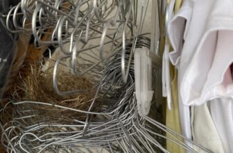 [🆕🇻🇳]  3B – mẹ và bé 🧑‍🧒❤️️👶⭐️ Ult e nghỉ tết có mây bữa về ngoại. Mà nay về lại nhà ra kho chuẩn bị giặt đồ để live thì thấy vậy
Đất lành chim đậu
, shares-0✔️ , likes-31❤️️ , date-2025-02-11 02:59:30🇻🇳🇻🇳🇻🇳📰🆕