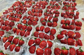 [🆕🇻🇳] Chio shop – Cửa hàng rau quả 🍔 Top1Food  🍜 Dâu Mộc Châu em về tiếp ạ, tươi rói, ngọt đậm vị, có xen chua nhẹ, rất rất ngon nha!size Vip 230k/kg
size to 210k/kg
*** Giá trên áp dụng khi mua kèm món , shares-0✔️ , likes-0❤️️ , date-2025-02-08 16:53:47🇻🇳🇻🇳🇻🇳📰🆕