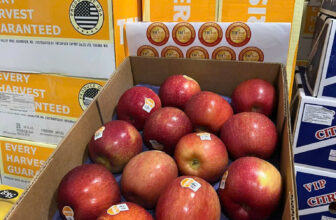 [🆕🇻🇳] TH Fruit – Chuyên Trái Cây Nhập Khẩu Cao Cấp 🍔 Top1Food  🍜  TÁO NGỌT NHƯ KẸO – ĂN LÀ MÊ, NGHIỆN NGAY LẦN ĐẦU!Bạn đã bao giờ ăn một loại táo mà cảm giác như đang thưởng thức viên kẹo tự nhiên chưa?Đây chính là , shares-0✔️ , likes-2❤️️ , date-2025-02-11 17:00:04🇻🇳🇻🇳🇻🇳📰🆕