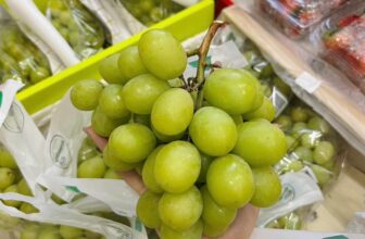 [🆕🇻🇳] Trái Cây Nhập Khẩu Tuy Hoà-Phú An Food 🍔 Top1Food  🍜 Nho xanh perru trái to như quả trứng gà , giòn ngọt đỉnh lắm ạ chỉ #12xk/nữa kg
Dâu HaNa Mộc Châu #115k/hộp kèm muối
Cherry sz xl #185k/kg
Cherry sz 3J to , shares-0✔️ , likes-3❤️️ , date-2025-02-10 17:46:11🇻🇳🇻🇳🇻🇳📰🆕