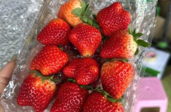 [🆕🇻🇳] Hoa Quả 4Mùa – Cửa hàng rau quả 🍔 Top1Food  🍜 #Traicay nhà e hôm nay sẵn nhiều mã cho cả nhà ạ
Nho mẫu đơn VIP #159k/ chùm
Kim quất đài loan #79k/hộp
Macca hộp size đại #129k/ hộp
Hạt điều bình phướ , shares-0✔️ , likes-0❤️️ , date-2025-02-07 17:33:09🇻🇳🇻🇳🇻🇳📰🆕