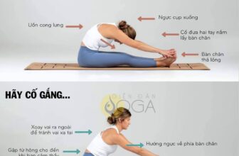 [🆕🇻🇳] Huỳnh Tha Yoga – Yoga cho người mới bắt đầu, trung cấp, nâng cao 🧘 Top1Yoga 🤸🏻‍♀️ Những điều cần lưu ý khi tập yoga
Lỗi sai và cách khắc phục
#huynhthayoga #yogaonline #st
, shares-2✔️ , likes-2❤️️ , date-2025-02-10 23:54:20🇻🇳🇻🇳🇻🇳📰🆕