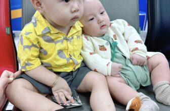 [🆕🇻🇳]  RainBow Design – Thế giới sơ mi cho các hoàng tử nhỏ <3 😎❤️️⭐️  mặc đồ rain thì góc độ nào cũng vẫn thấy đáng yêu quá nhiềuuuuuu
, shares-0✔️ , likes-5❤️️ , date-2025-02-12 00:43:15🇻🇳🇻🇳🇻🇳📰🆕