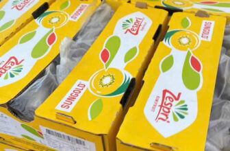 [🆕🇻🇳] F5 Fruit Shop Hồ Chí Minh-hệ thống bán lẻ Trái cây Nhập khẩu cao cấp 🍔 Top1Food  🍜 𝐊𝐢𝐰𝐢 𝐕𝐚̀𝐧𝐠 𝐏𝐡𝐚́𝐩
Giá bán: 225.000đ/KG
Kiwi được xem là thực quả nổi tiếng thế giới không chỉ bởi hương vị thơm ngon mà còn cực kì dinh dưỡng.
Kiwi vàng  , shares-1✔️ , likes-0❤️️ , date-2025-02-08 21:30:02🇻🇳🇻🇳🇻🇳📰🆕