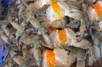 [🆕🇻🇳] ANH THƯ FOOD – Thịt Càng Cua / Thịt Ghẹ -Tôm Tích 🍔 Top1Food  🍜 Video liên quan
, shares-0✔️ , likes-2❤️️ , date-2025-02-06 22:35:18🇻🇳🇻🇳🇻🇳📰🆕