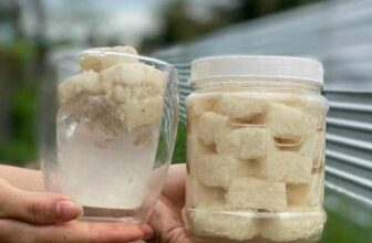 [🆕🇻🇳] THUỶ THUỶ FOOD – Trái Cây Sạch / Đặc Sản Đà Lạt 🍔 Top1Food  🍜  𝐂𝐎̛𝐌 𝐑𝐔̛𝐎̛̣𝐔 𝐍𝐄̂́𝐏 𝐇𝐔̛𝐎̛𝐍𝐆- Cơm rượu thì ai cũng bán nhưng công thức mỗi nhà mỗi khác ! Món ăn tráng miệng hương vị truyền thống Miền Tây
#99k/ 1 hủ 700 , shares-0✔️ , likes-0❤️️ , date-2025-02-12 02:54:52🇻🇳🇻🇳🇻🇳📰🆕