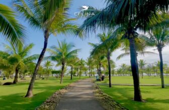 [🏝️🇻🇳] Celina Peninsula Resort Quang Binh  🏝️ Top1Resort 🏖️ Nắng ấm ươm vàng cả một góc sân
———————
ĐẶT DỊCH VỤ TẠI:
Celina Peninsula Resort, đường Võ Nguyên Giáp, tp Đồng Hới, Quảng Bình
Phone : 023… , shares-0✔️ , likes-31❤️️ , date-2025-02-16 21:26:21🇻🇳🇻🇳🇻🇳📰🆕