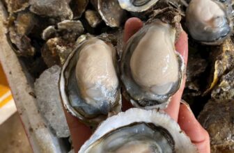 [🆕🇻🇳] Chả Cá Nha Trang sỉ lẻ sll 🍔 Top1Food  🍜 HÀU SỮA NHỨT NÁCH Ạ
Mến mời cả nhà
zalo 093738 2489
, shares-0✔️ , likes-0❤️️ , date-2025-02-11 17:33:09🇻🇳🇻🇳🇻🇳📰🆕