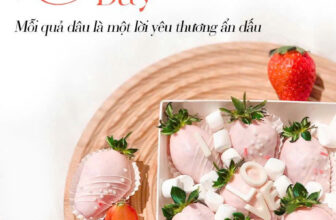 [🆕🇻🇳] Mini’s Cake – Tiệm bánh Đài Loan 🍔 Top1Food  🍜 𝐇𝐚𝐩𝐩𝐲 𝐕𝐚𝐥𝐞𝐧𝐭𝐢𝐧𝐞’𝐬 𝐃𝐚𝐲  𝐌𝐨̂̃𝐢 𝐪𝐮𝐚̉ 𝐝𝐚̂𝐮 𝐥𝐚̀ 𝐦𝐨̣̂𝐭 𝐥𝐨̛̀𝐢 𝐲𝐞̂𝐮 𝐭𝐡𝐮̛𝐨̛𝐧𝐠 𝐚̂̉𝐧 𝐠𝐢𝐚̂́𝐮Chỉ còn vài ngày nữa là đến ngày lễ tình nhân, bạn đã chuẩn bị sẵn món qu , shares-0✔️ , likes-0❤️️ , date-2025-02-11 03:00:25🇻🇳🇻🇳🇻🇳📰🆕