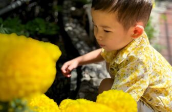 [🆕🇻🇳]  RainBow Design – Thế giới sơ mi cho các hoàng tử nhỏ <3 😎❤️️⭐️ Feedback siêu cưng của các em bé
, shares-0✔️ , likes-12❤️️ , date-2025-02-14 18:43:29🇻🇳🇻🇳🇻🇳📰🆕