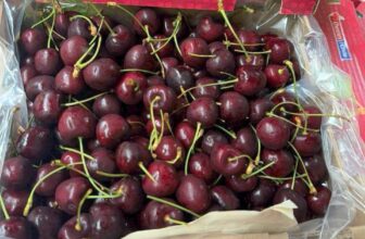 [🆕🇻🇳] Hoa Quả 4Mùa – Cửa hàng rau quả 🍔 Top1Food  🍜  Siêu phẩm#CHERRY_Chile e về thêm#249k/ kgCherry Chile giòn rụm siêu ngon
Cứng quả – Ngọt , cuống tươi, đậm vị==================#CherryChi , shares-0✔️ , likes-0❤️️ , date-2025-02-12 15:29:00🇻🇳🇻🇳🇻🇳📰🆕