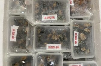 [🆕🇻🇳] Thực phẩm Hà nội Việt Thắng – Trung tâm phân phối thực phẩm đặc sản Miền bắc 🍔 Top1Food  🍜 Đặc sản Phố cổ Hàng bè HÀ NỘI – Chả Xương Sông 200k / 500 GR
, shares-2✔️ , likes-2❤️️ , date-2025-02-14 22:41:36🇻🇳🇻🇳🇻🇳📰🆕